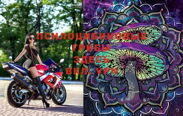 марки lsd Протвино
