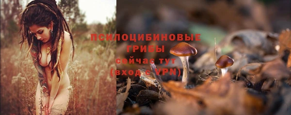 марки lsd Протвино