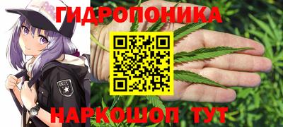 бошки Моздок