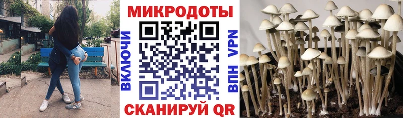как найти закладки  Углич  МЕГА ссылка  Галлюциногенные грибы Cubensis 
