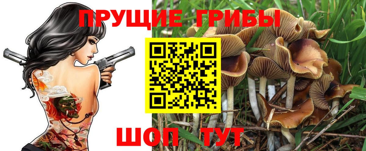 Галлюциногенные грибы Psilocybe  Вход с VPN  Галлюциногенные грибы мицелий  Углич 
